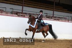 18R2_02641 thumbnail