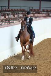 18R2_02642 thumbnail