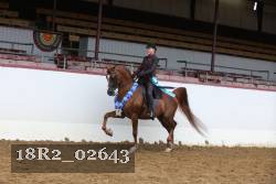 18R2_02643 thumbnail