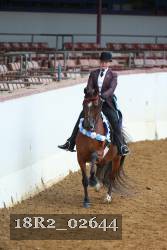 18R2_02644 thumbnail