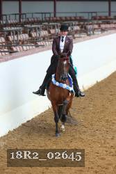 18R2_02645 thumbnail