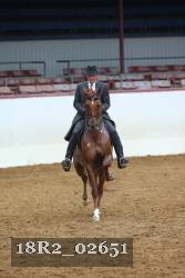 18R2_02651 thumbnail