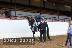 18R2_02825 thumbnail