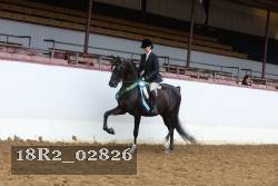 18R2_02826 thumbnail