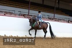 18R2_02827 thumbnail