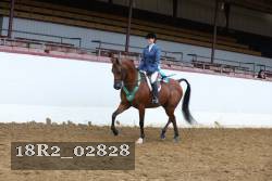 18R2_02828 thumbnail