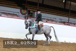 18R2_02829 thumbnail