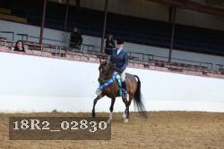 18R2_02830 thumbnail