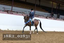 18R2_02831 thumbnail