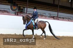 18R2_02832 thumbnail