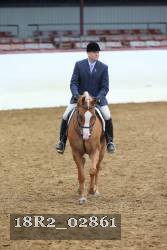 18R2_02861 thumbnail
