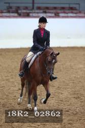 18R2_02862 thumbnail