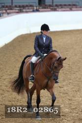 18R2_02865 thumbnail