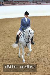 18R2_02867 thumbnail