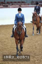 18R2_02871 thumbnail