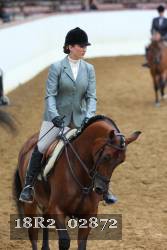18R2_02872 thumbnail