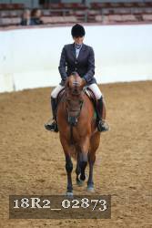 18R2_02873 thumbnail