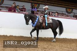 18R2_03023 thumbnail