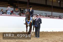 18R2_03054 thumbnail
