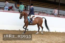 18R2_03055 thumbnail