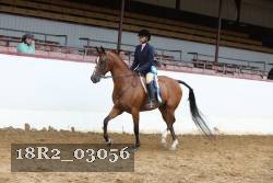 18R2_03056 thumbnail