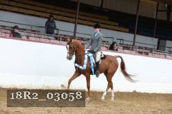 18R2_03058 thumbnail