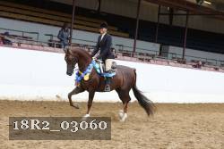 18R2_03060 thumbnail