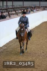 18R2_03485 thumbnail