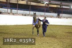 18R2_03585 thumbnail