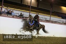 18R2_03608 thumbnail