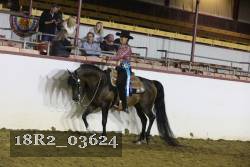 18R2_03624 thumbnail