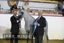 18R2_03634 thumbnail
