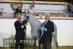 18R2_03635 thumbnail