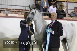 18R2_03636 thumbnail