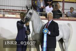 18R2_03637 thumbnail