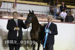 18R2_03639 thumbnail