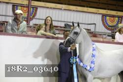 18R2_03640 thumbnail