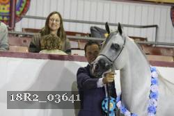 18R2_03641 thumbnail