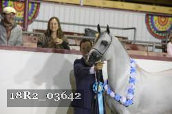 18R2_03642 thumbnail