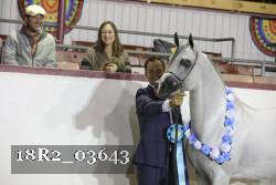 18R2_03643 thumbnail