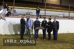 18R2_03645 thumbnail