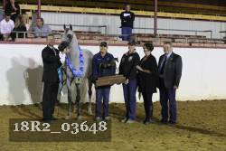 18R2_03648 thumbnail