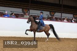 18R2_03946 thumbnail