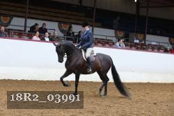 18R2_03991 thumbnail