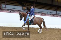 18R2_04030 thumbnail