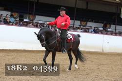 18R2_04399 thumbnail