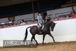 18R2_04329 thumbnail