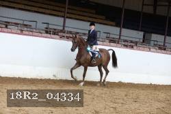 18R2_04334 thumbnail