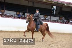 18R2_04475 thumbnail