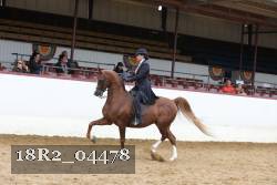 18R2_04478 thumbnail